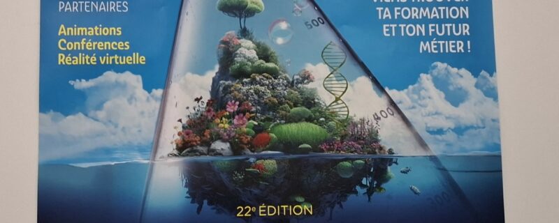 village-Chimie-biechy